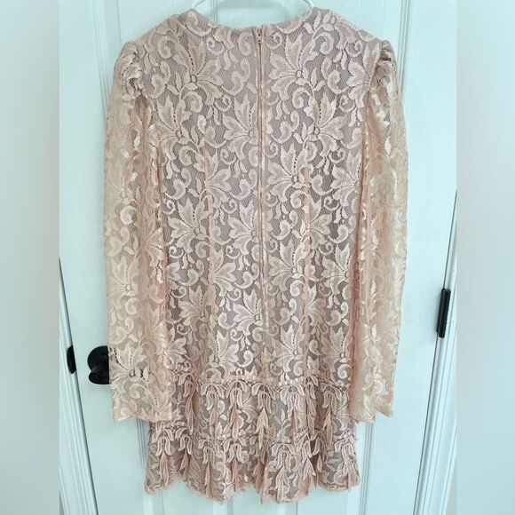 Le Art Vintage Pink Champagne Lace Layered Long Sleeve Dress Women’s Size 10 - Picture 3 of 10
